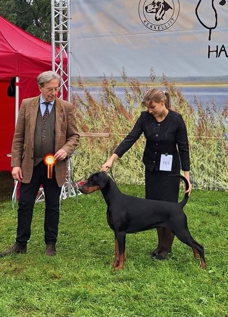 Freya – Dobermann female, photo 10