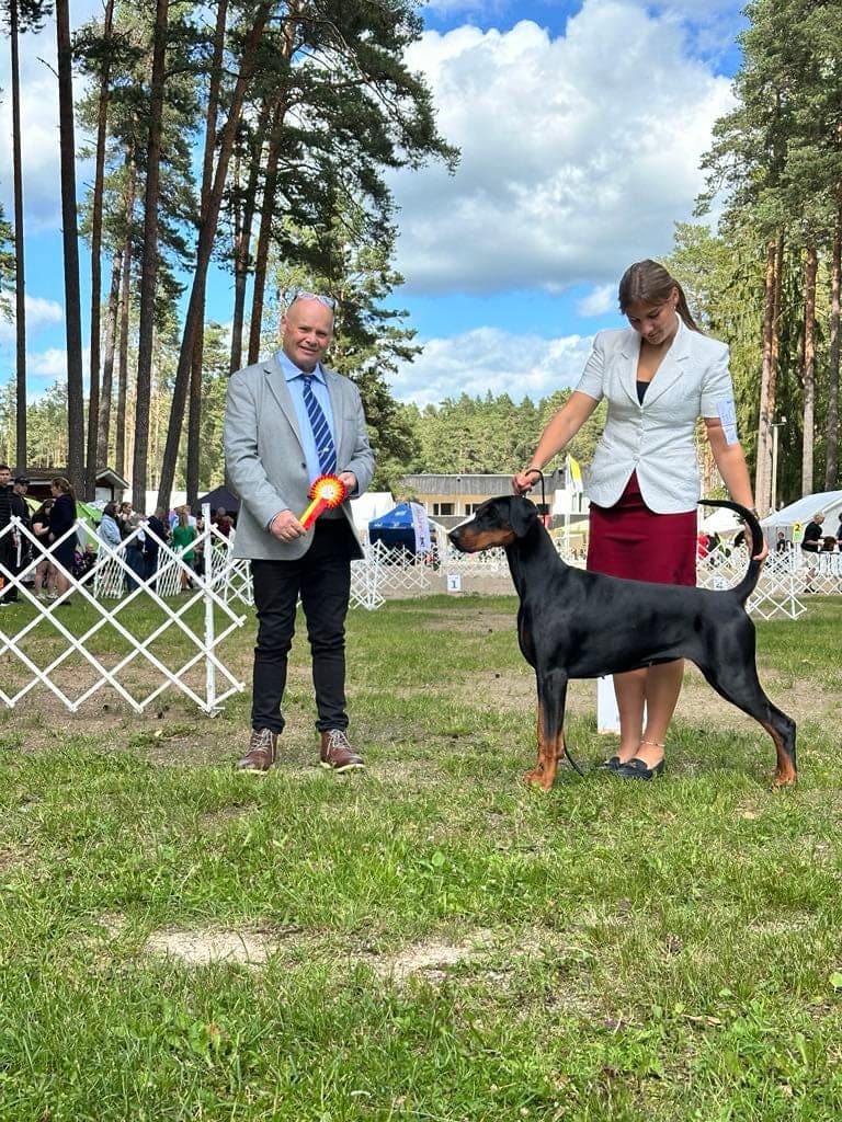 Freya – Dobermann female, photo 13
