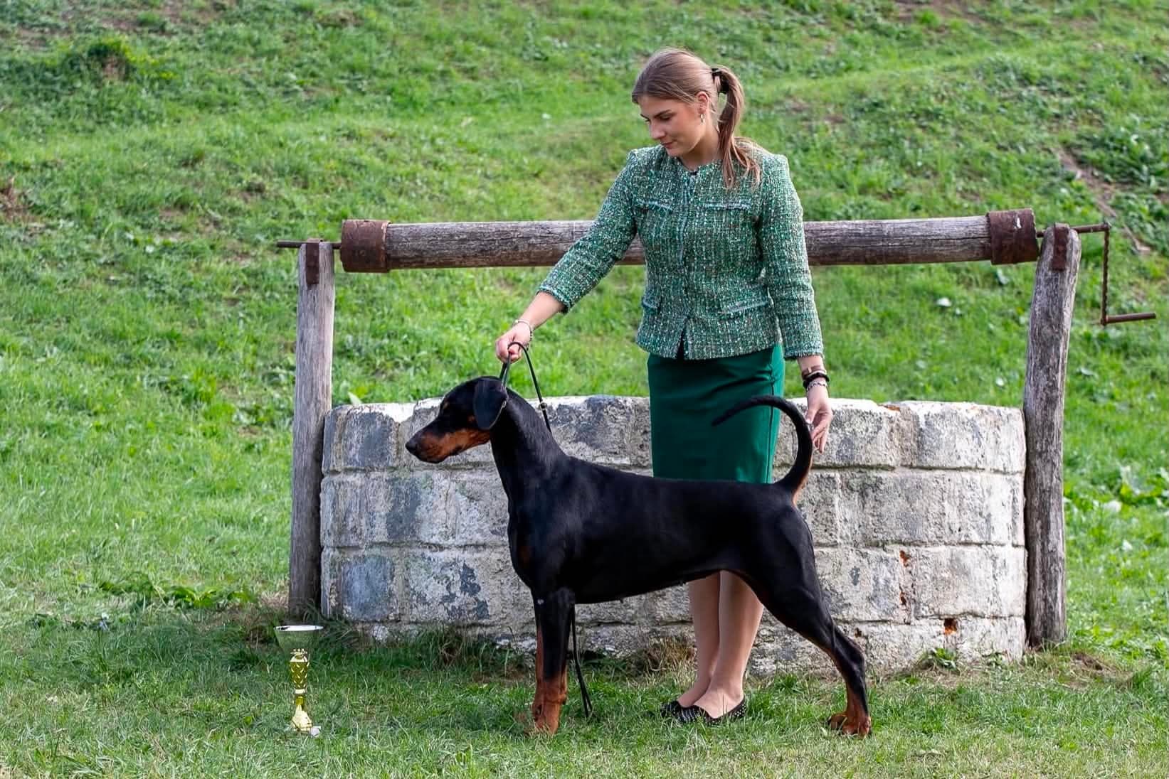 Freya – Dobermann female, photo 14