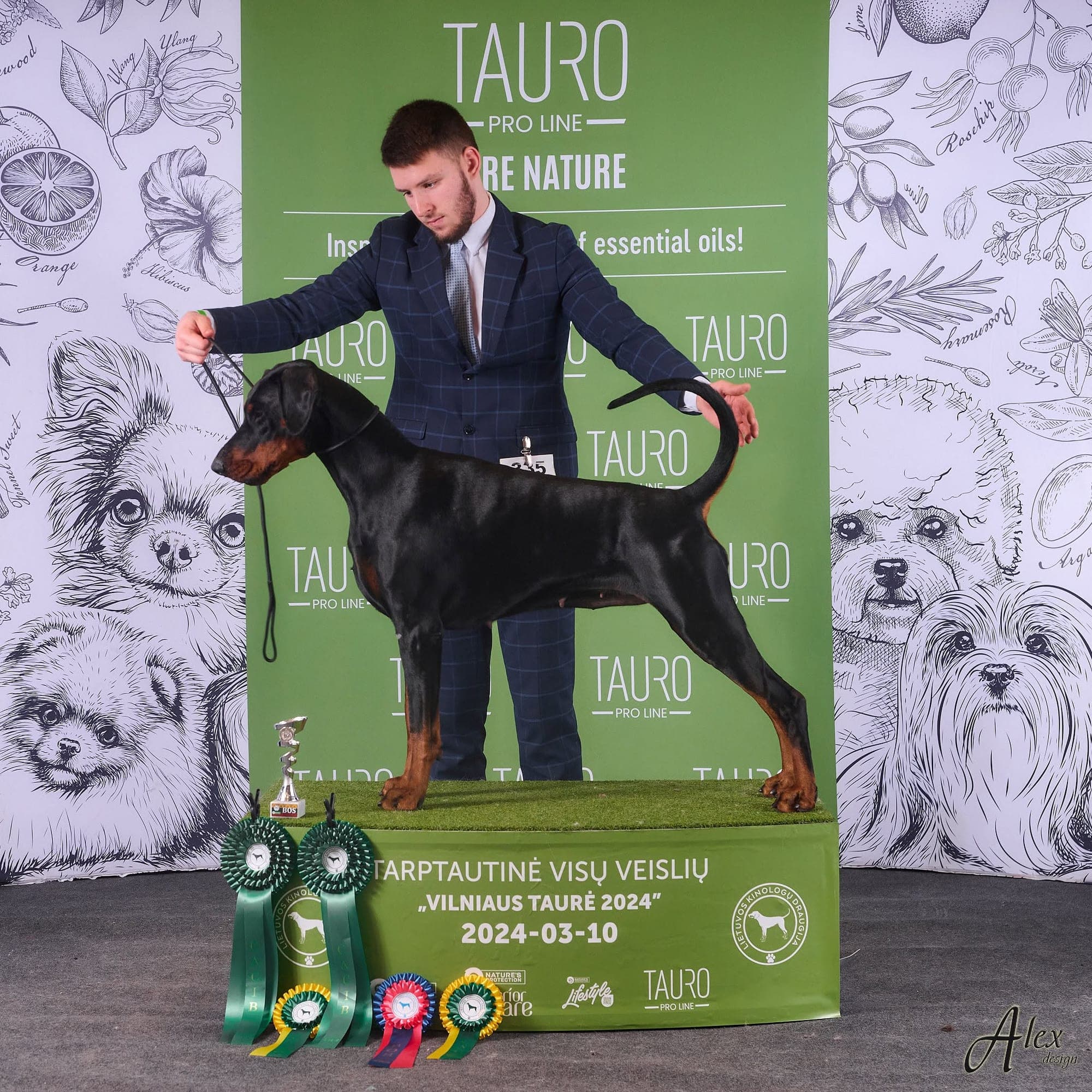 Freya – Dobermann female, photo 17
