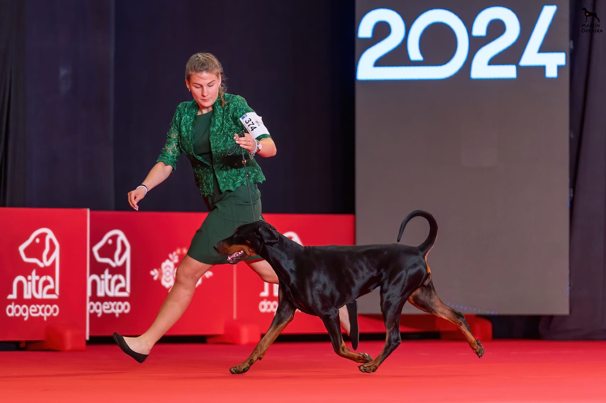 Freya – Dobermann female, photo 19