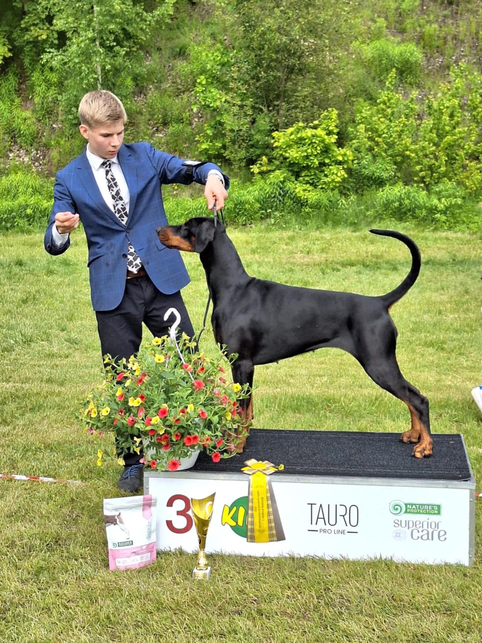 Freya – Dobermann female, photo 6