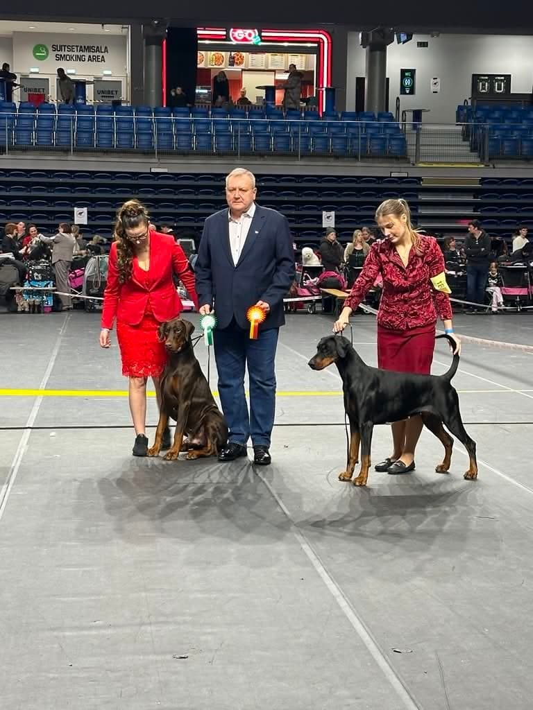 Freya – Dobermann female, photo 9
